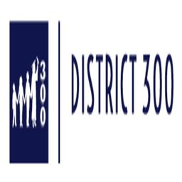 Company logo Community Unit School District 300