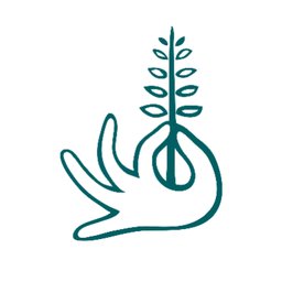 Company logo Springbone Kitchen