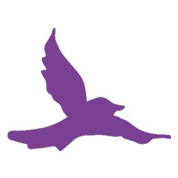Company logo DOVE Center