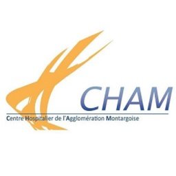 Logo de l'entreprise Centre hospitalier de l'agglomération Montargoise