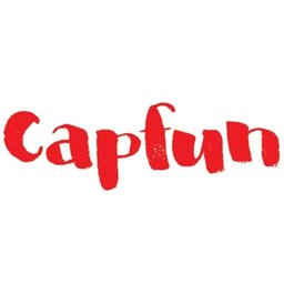 Logo de l'entreprise camping de l'Eve Capfun