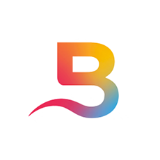 Company logo Flying Bisons