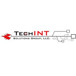 Company logo TechINT Solutions Group (TSG)