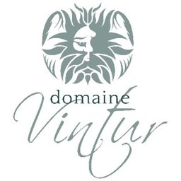 Logo de l'entreprise Domaine Vintur