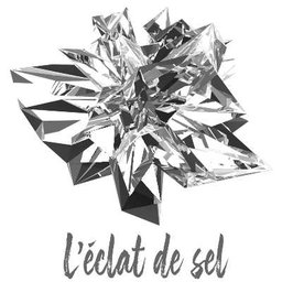 Logo de l'entreprise L'éclat de sel