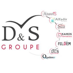 Logo de l'entreprise DS Groupe