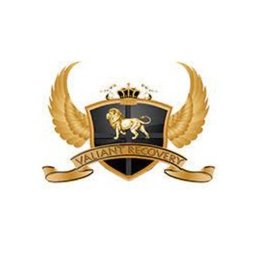 Company logo Valiant Recovery