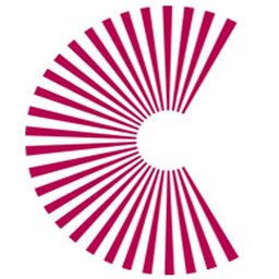 Company logo The Connection