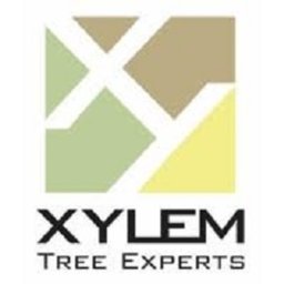 Company logo Xylem Tree Experts