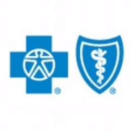 Company logo Blue Cross Blue Shield