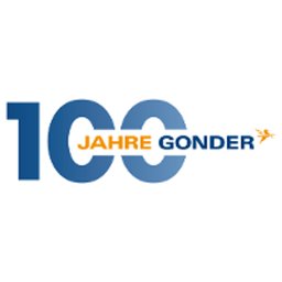 Firmenlogo Gonder Group
