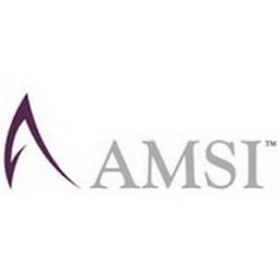 شعار الشركة AMSI