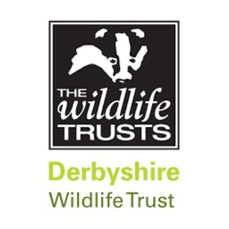 Derbyshire Wildlife Trust Logo