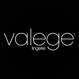 Logo de l'entreprise VALEGE