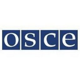 Company logo Organization for Security and Co-operation in Europe