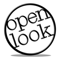 Company logo Open Look Business Solutions Inc.