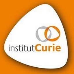 Logo de l'entreprise Institut Curie