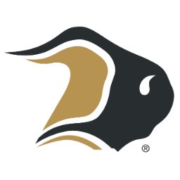 Logotipo de la empresa Bison Transport