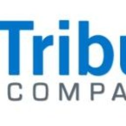 Company logo Tribute Companies Inc