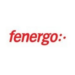 Company logo Fenergo