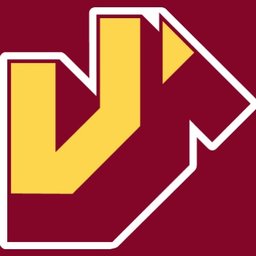 Company logo Vepco Transport B.V.