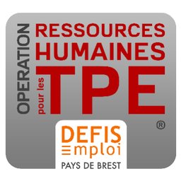 Logo de l'entreprise DEFIS Emploi Pays de Brest