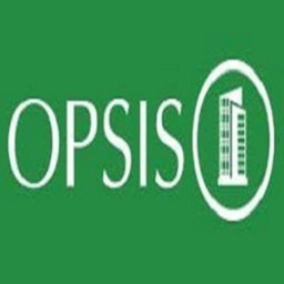 Company logo OPSIS GI