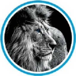 Company logo COWAN GRAPHICS INC