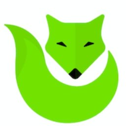 Company logo Green Fox Cleaning