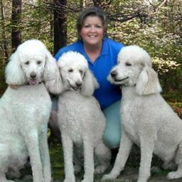 Company logo Southern Paws Pet Sitting