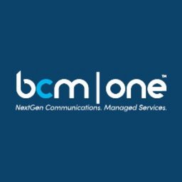 Company logo BCM One