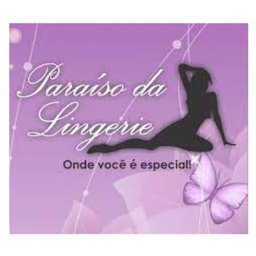 Company logo Paraiso da Lingerie