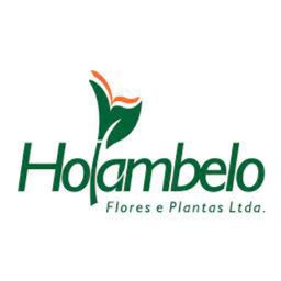 Company logo Holambelo