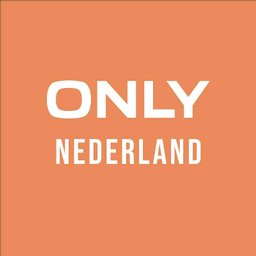 Company logo ONLY Stores