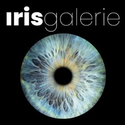 Company logo Iris Galerie