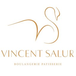 Logo de l'entreprise VINCENT SALUR