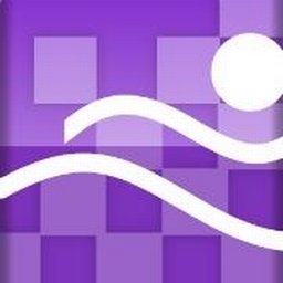 Company logo PT Plus