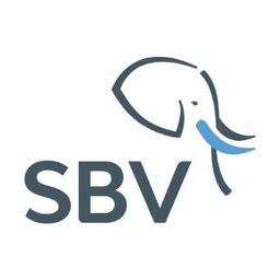 Company logo SBV Services