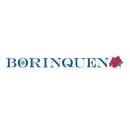 Company logo BORINQUEN HEALTH CARE CENTER, INC