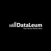 Company logo Dataleum