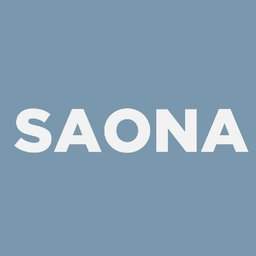 Logotipo de la empresa Grupo Saona