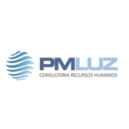 Company logo PMLUZ CONSULTORIA