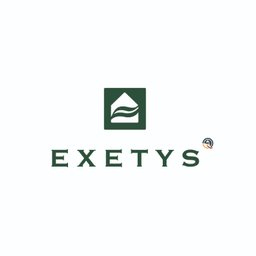 Logo de l'entreprise EXETYS