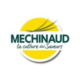 Logo de l'entreprise MECHINAUD