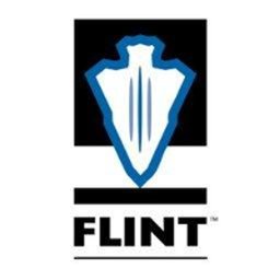 Company logo FLINT Corp.