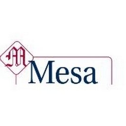 Company logo Mesa Associates, Inc.