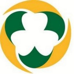 Company logo Failte Ireland