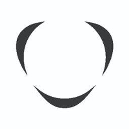Company logo Citymesh nv