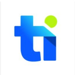 Company logo Team Internet