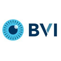 Company logo BVI Medical